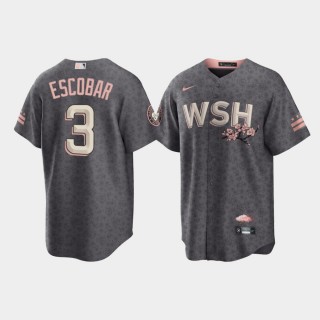 Bloom Washington Nationals Alcides Escobar Men's Gray 2022 City Connect Replica Jersey