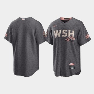 Men's Washington Nationals Replica Gray 2022 City Connect Jersey